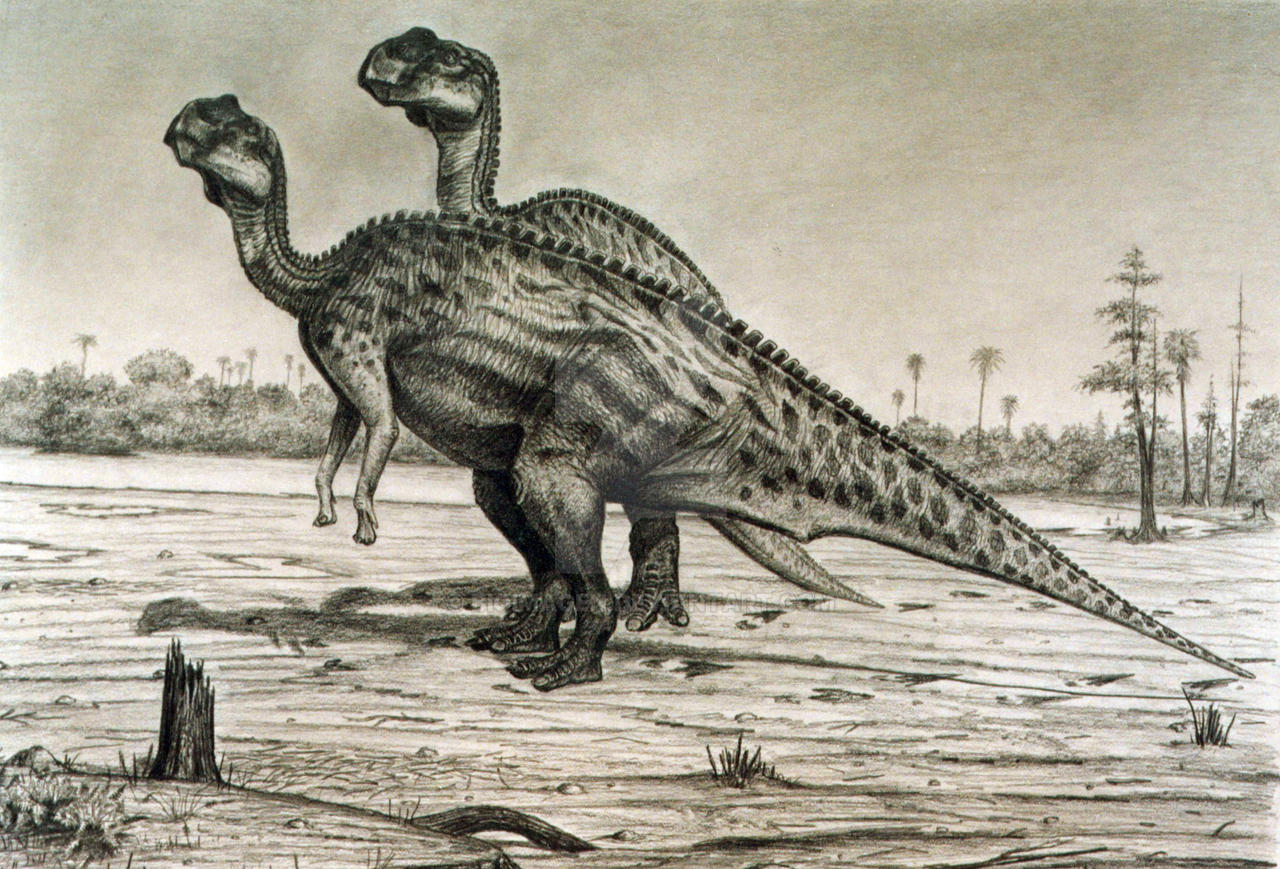 Kritosaurus notabilis