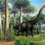 Brachiosaurus altithorax. 1998