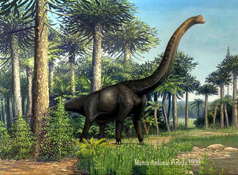 Brachiosaurus altithorax. 1998