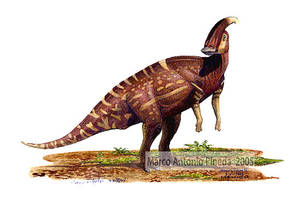 Parasaurolophus walkeri. 2005