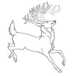 FREE Stag Lineart -REDONE-