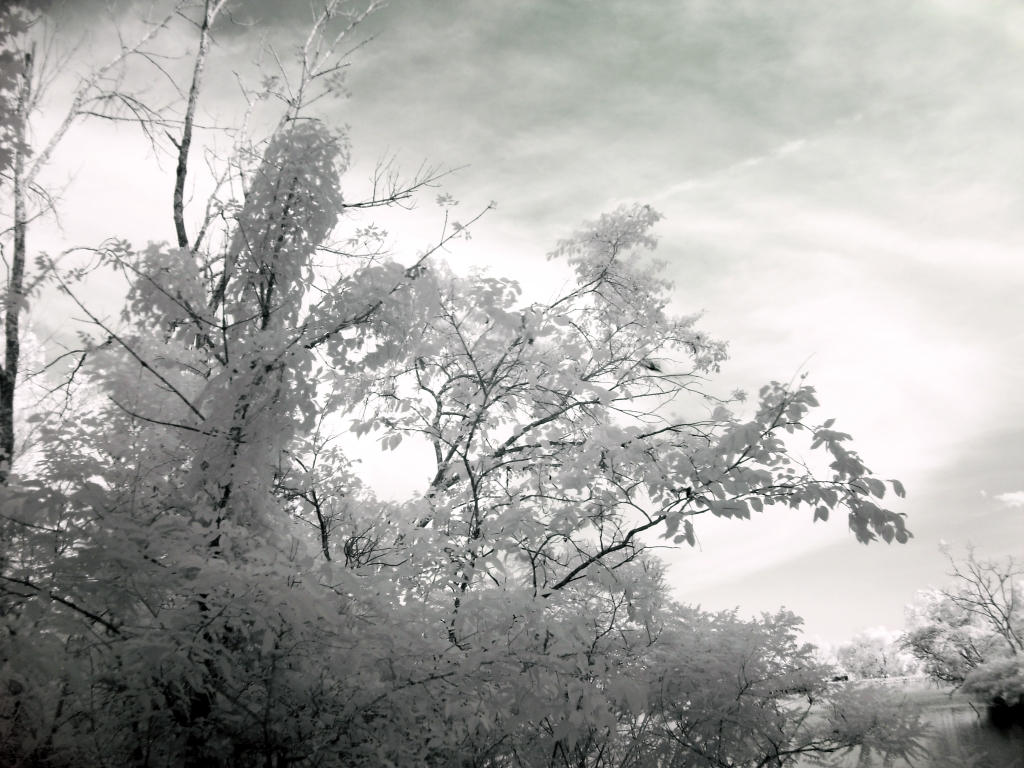 Invisible Sunset Invisible Sunset by s-pwyll on DeviantArt