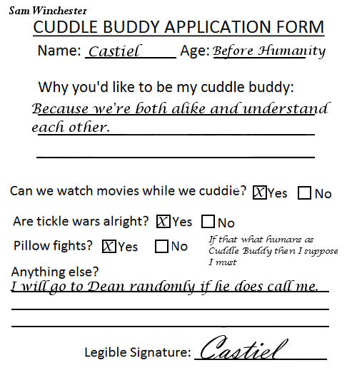 Castiel Cuddle Buddy Application Form by TheQueenofLight on DeviantArt