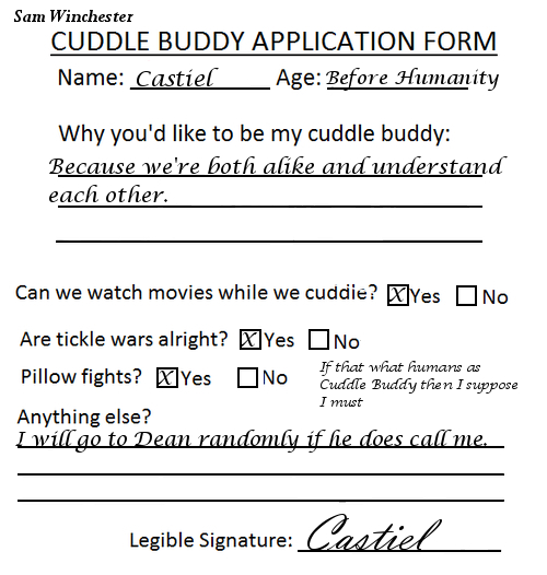 Castiel Cuddle Buddy Application Form by TheQueenofLight on DeviantArt