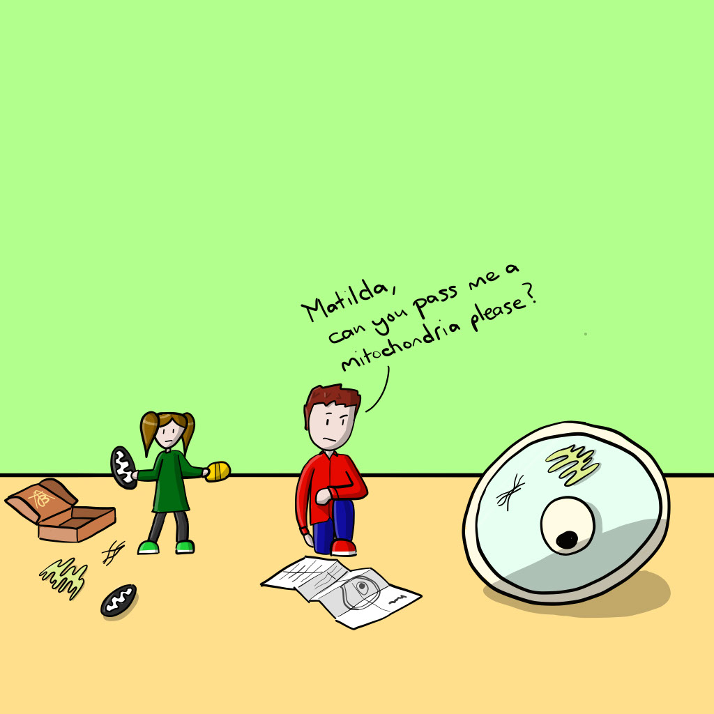 How To Build A Cell By Matildas Lab On DeviantArt How To Build A Cell By Matildas Lab On DeviantArt