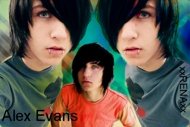 Alex Evans colorful blend