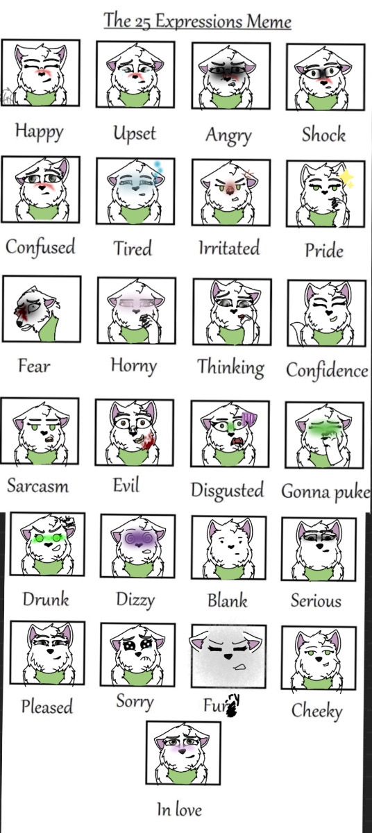 25 expressions meme by FireWolfUT on DeviantArt