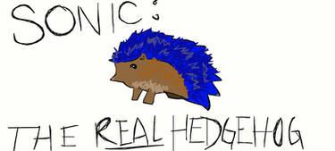 Sonic: The Real Hedgehog