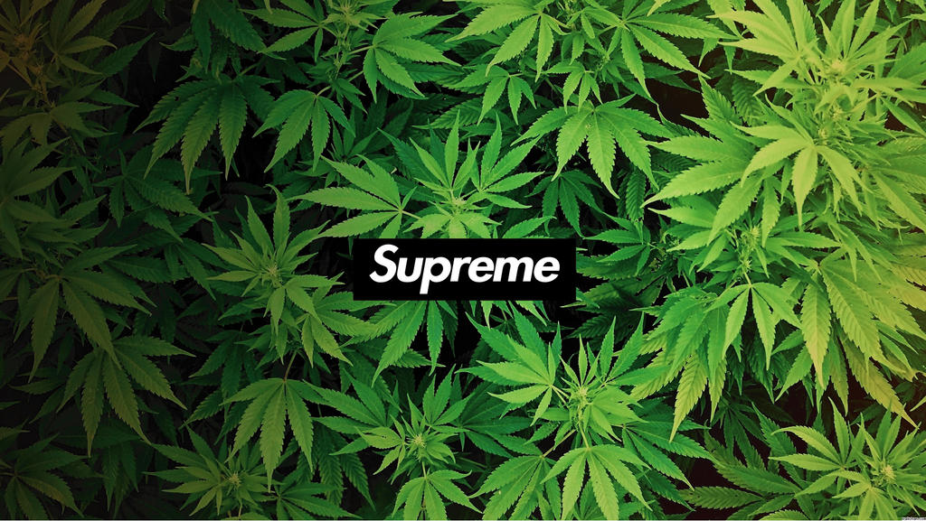 Supreme Weed