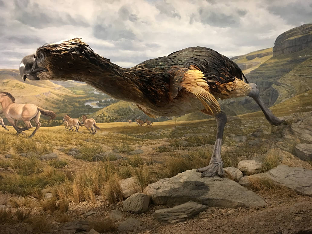 Terror Bird by ItsAllStock on DeviantArt