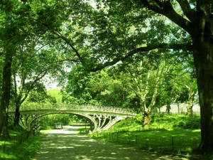 Central Park