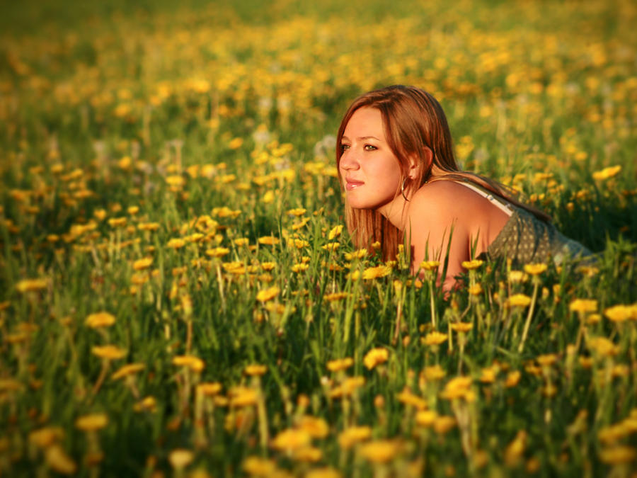 Field Below