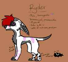 Ryder fursona ref