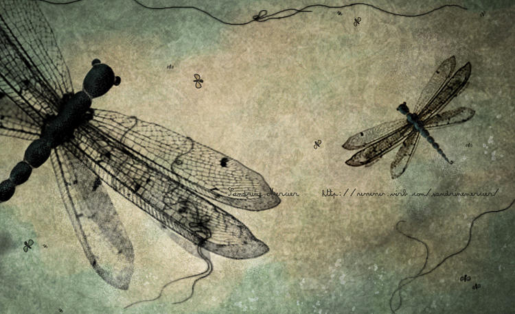 Deviantart Compostfly Dragonfly by missdine on DeviantArt