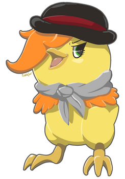 Roman Torchic