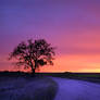 technicolor sunrise.