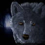 AT:AmySilverShine Gray Wolf