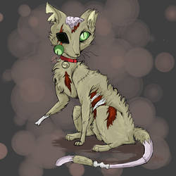 Undead cats are the best kinds of cats