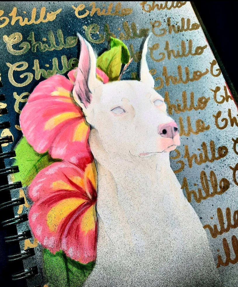 Dog Tags | 'Albino Flower'