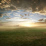 Grassy field sunset - FREE STOCK