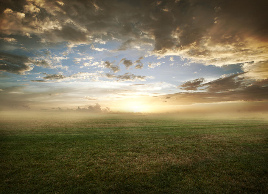 Grassy field sunset - FREE STOCK