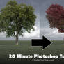 Photoshop Tutorial - Turn a tree into a heart