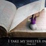 My Shelter