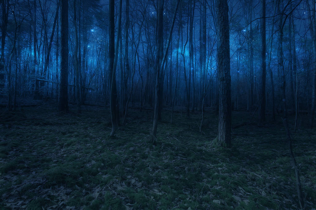 FREE STOCK IMAGE - MIDNIGHT WALK by kevron2001