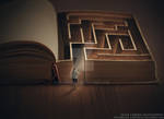 Get lost in a book