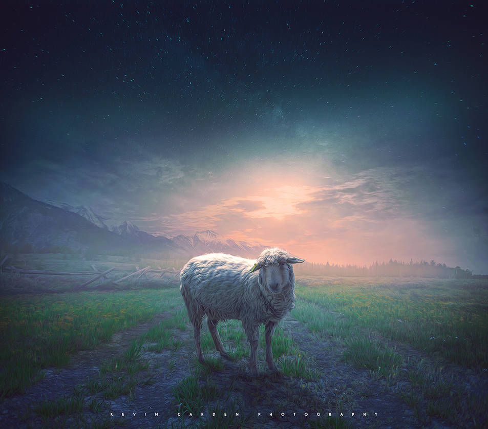 The Lost Sheep By Kevron2001 On DeviantArt