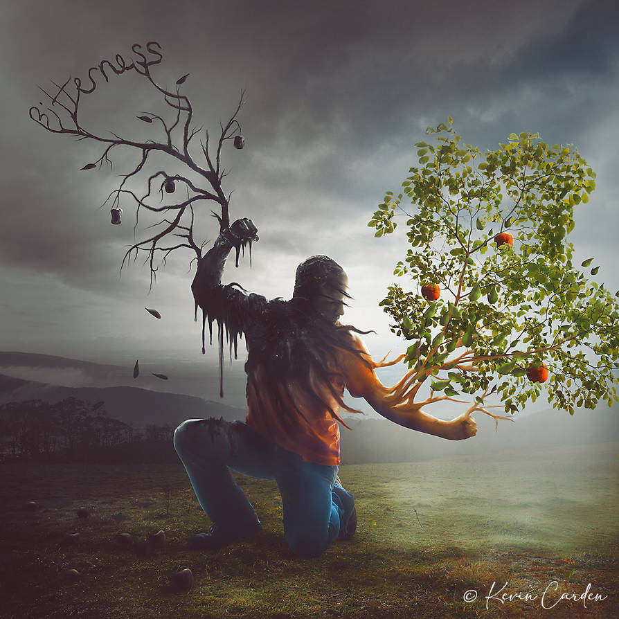 Don't Let Bitterness Take it All by kevron2001 on DeviantArt