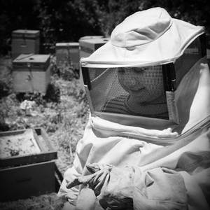 BeeKeeper