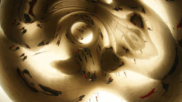 The underside of the bean