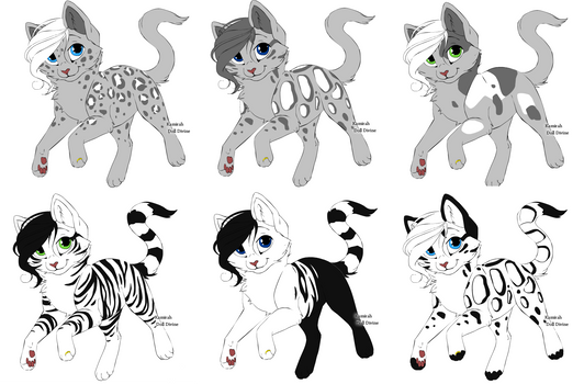 point Cat adopts (open)