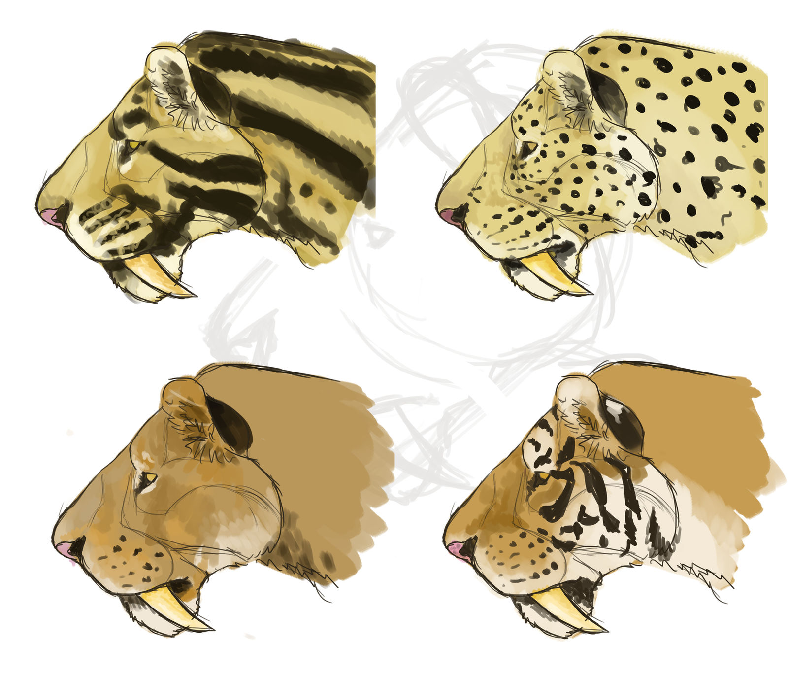 Smilodon Color Smilodon populator color study by LeonelSaberTooth on DeviantArt