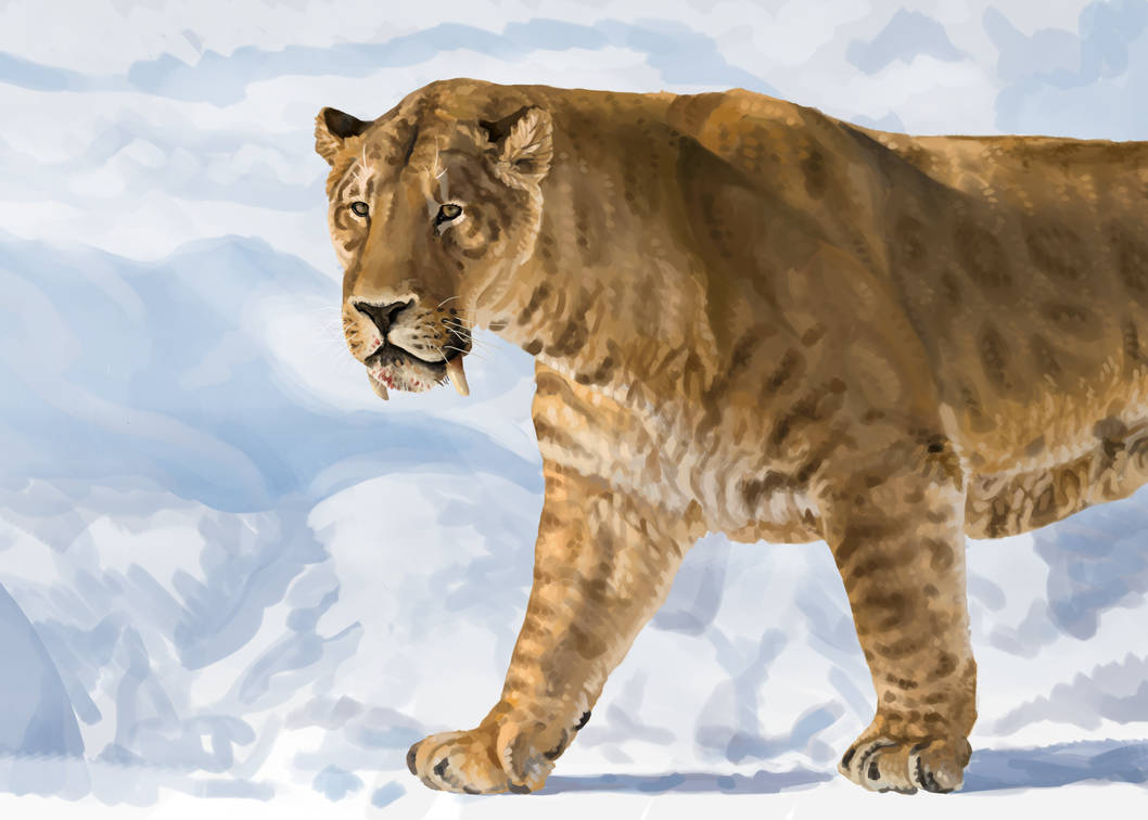 Смилодон Safari на белом фоне