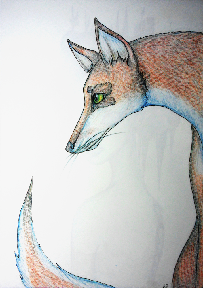 Mysterious fox