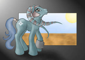 Aayla Pony - Coloured