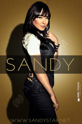 Exclusive Poster Sandy 2013