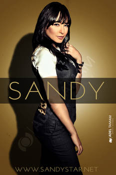 Exclusive Poster Sandy 2013