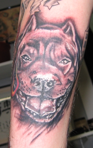 Dog Portrait Tattoo