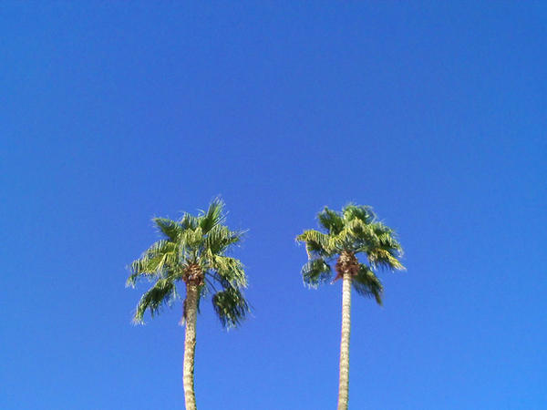 Palm Springs