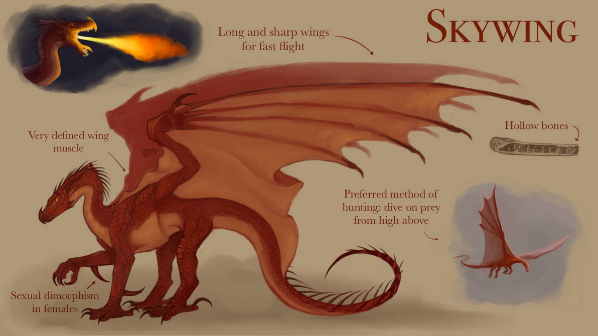 Skywing Reference Realistic Skywing headcanon wof tribe design by Ospreens on DeviantArt