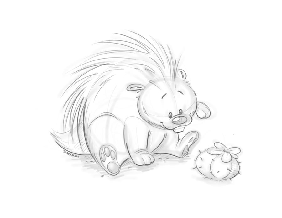 Porcupine Sketch