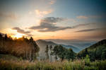Sunrise over forest by fill12