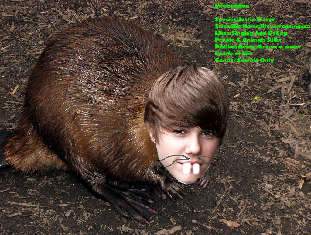 Justin Biever by Trimondius01 on DeviantArt