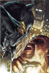 BLACK PANTHER COVER 517