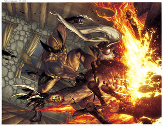 Wolverine: Sabretooth Reborn issue 1 pg 10 e 11