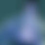 Song Bird Nude