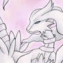 ::Kiriban:: Reshiram